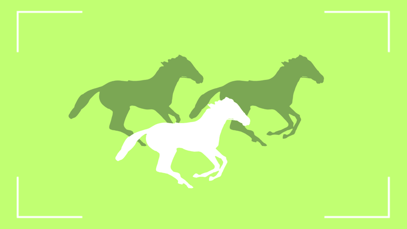 AviUtlでフレームを補間する方法2