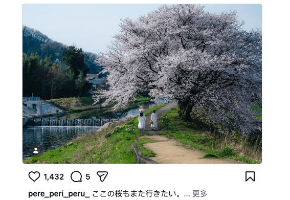 Instagramリールの暗部とアップロード画質を確認する設定画面
