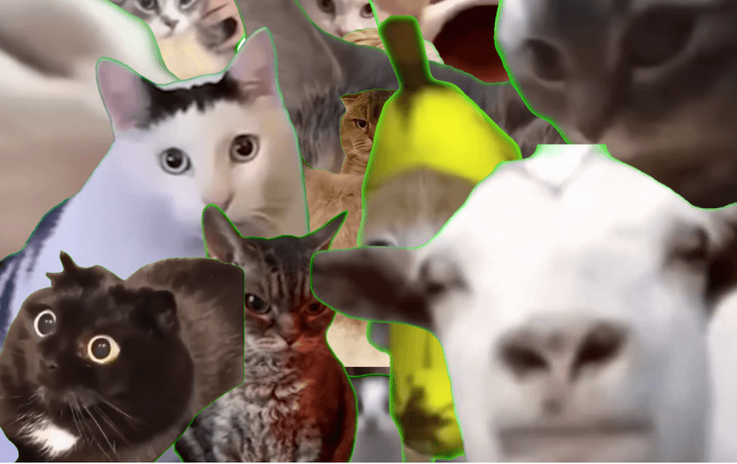 猫ミーム