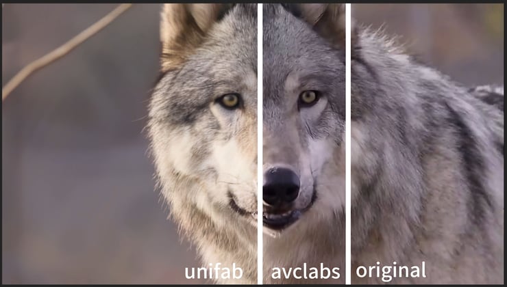 unifab vs avclabs on 4k animal upscaling