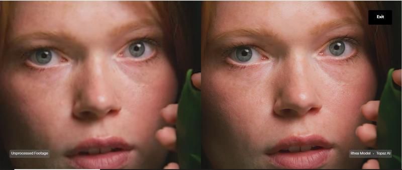 Topaz AI Video Enhancer Software Free Performance.jpg