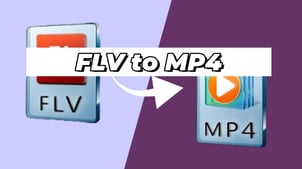 How to Convert FLV To MP4？