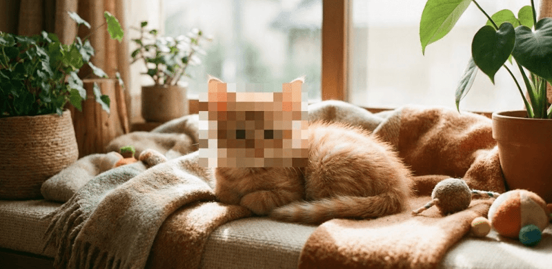 截屏2025-12-10 17.15.28.png