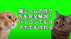 【無料】猫ミームの作り方を完全解説！パソコンでもスマホでも作れる！