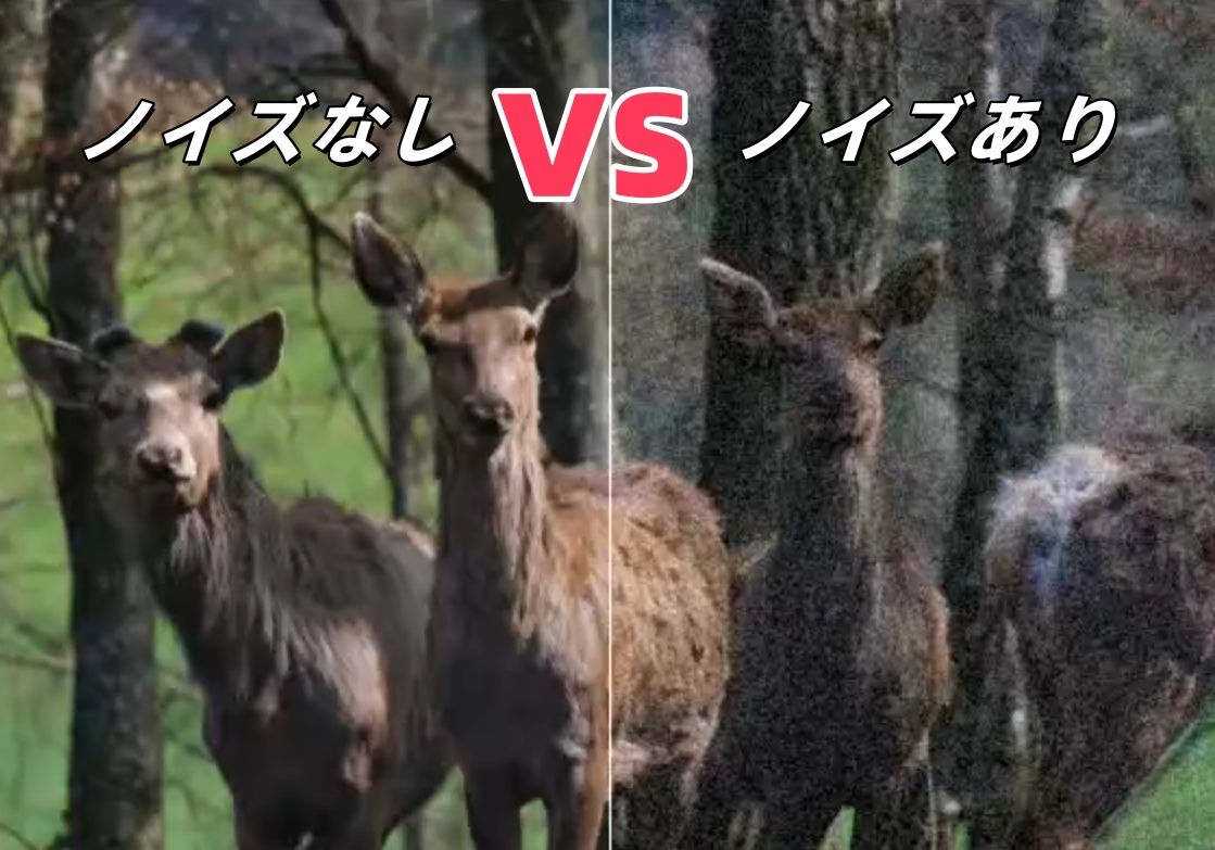 copy_副本.jpg
