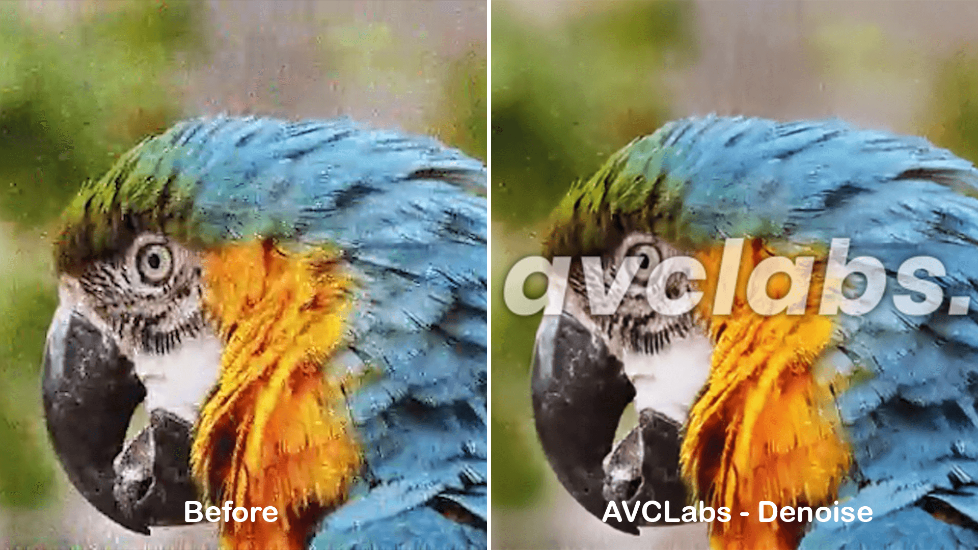 AVCLabs-denoise performance