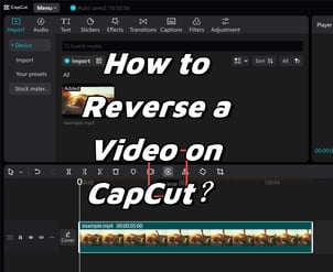 How to Reverse a Video on CapCut?