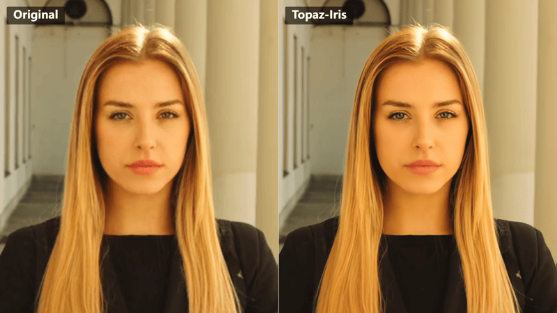 Original vs Topaz_Iris