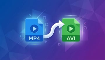 MP4 to AVI Converter: Which Method Matches Your Situation?