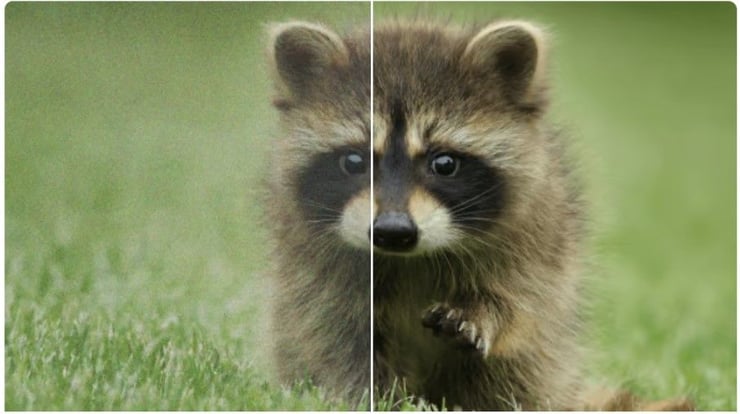 Raccoon before and after AI denoise