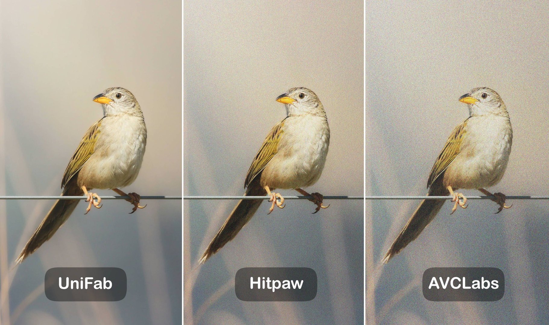 unifab vs. hitpaw vs. avclabs - noise reduction effect