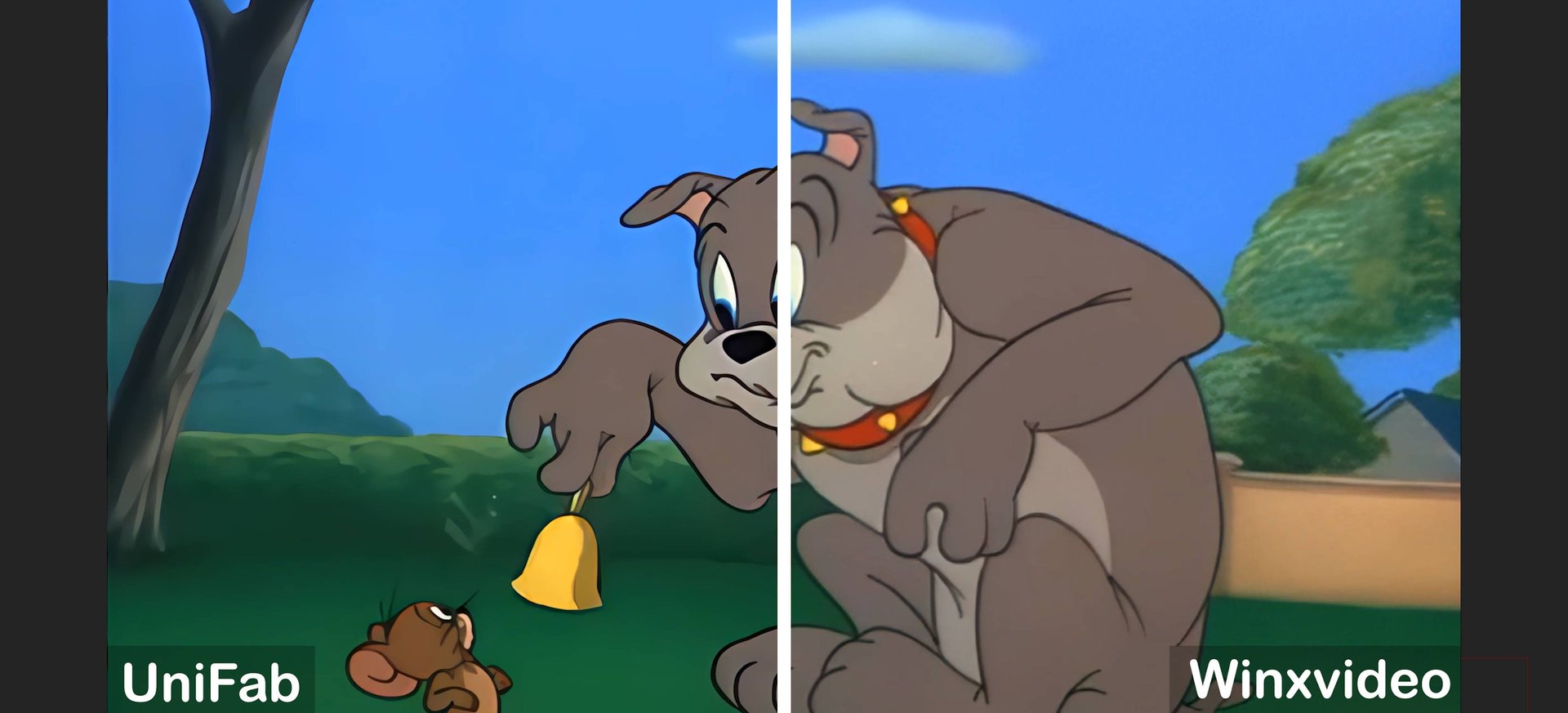 Animation-comparison-with-UniFab-and-Winxvideo