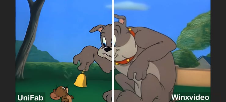 Animation-comparison-with-UniFab-and-Winxvideo