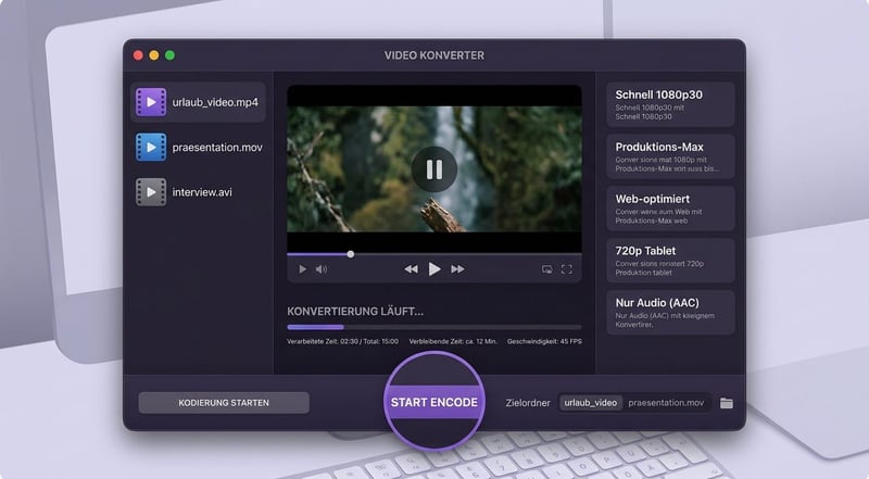 HandBrake Hauptansicht — Source-Liste, Vorschau und Preset-Auswahl